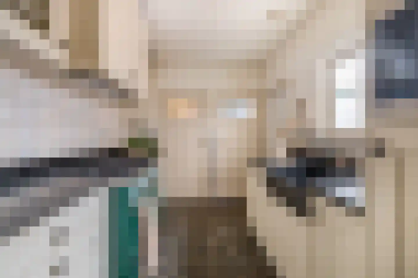 Stationsweg 36 Venray thumbnail 15