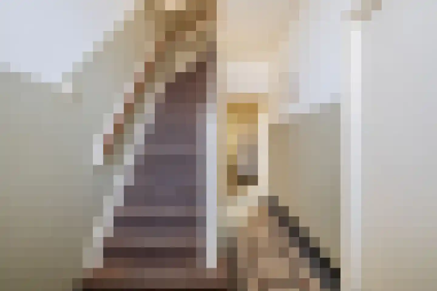 Stationsweg 36 Venray thumbnail 6