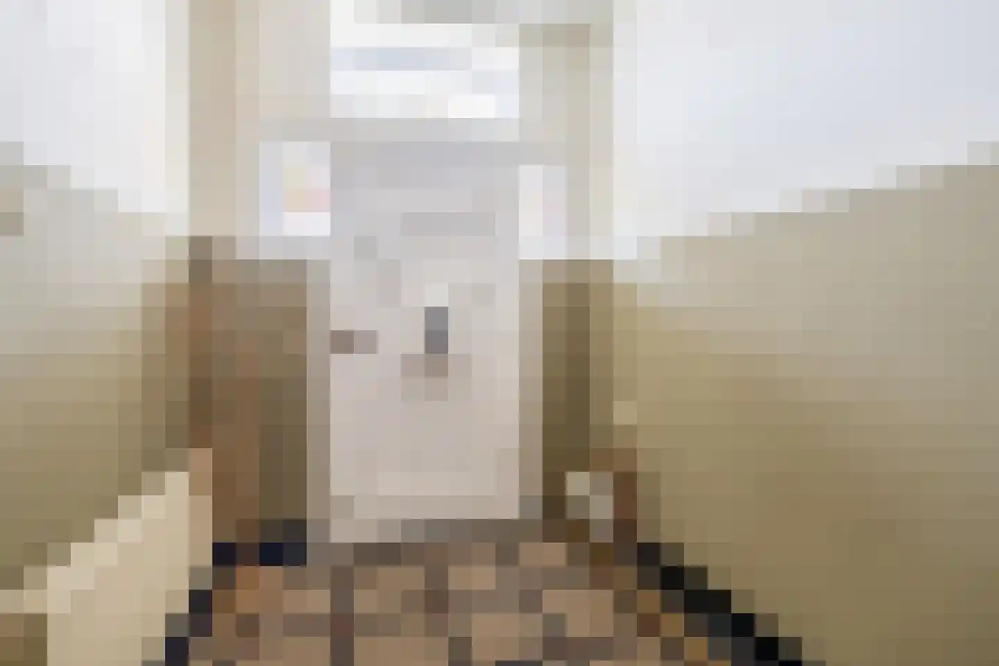 Stationsweg 36 Venray thumbnail 7