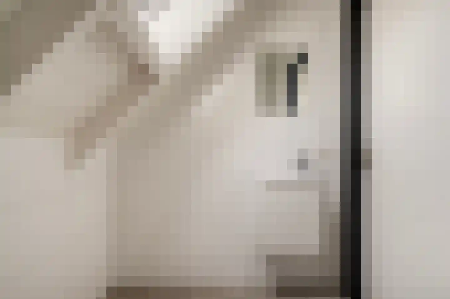 Stationsweg 37 a Markelo thumbnail 33