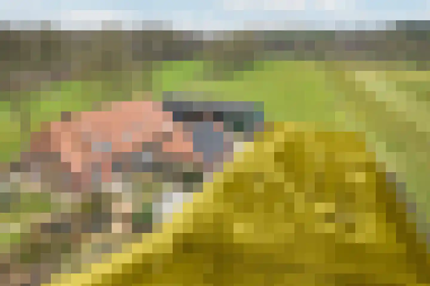 Stationsweg 37 a Markelo thumbnail 44