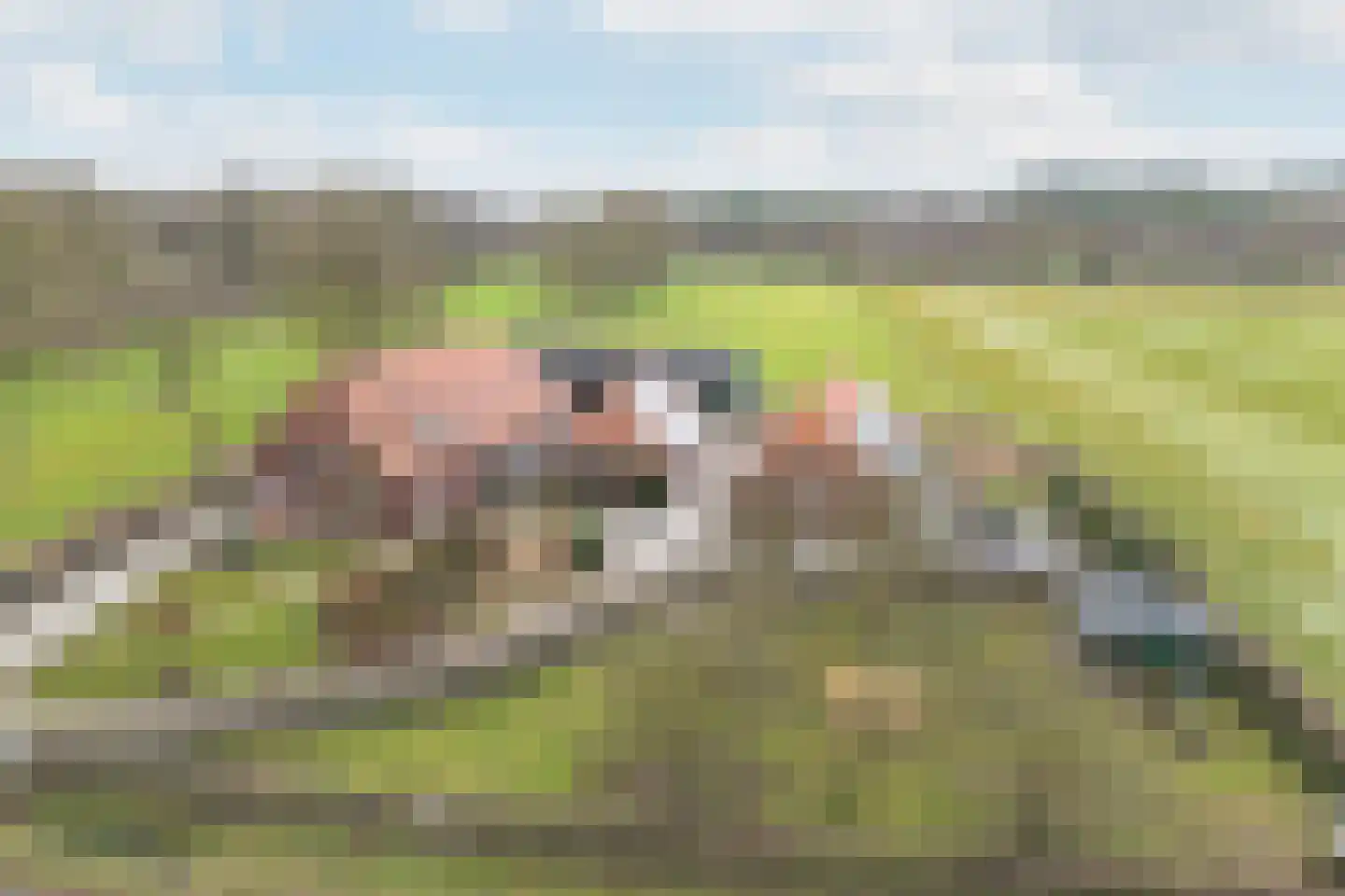 Stationsweg 37 a Markelo thumbnail 45