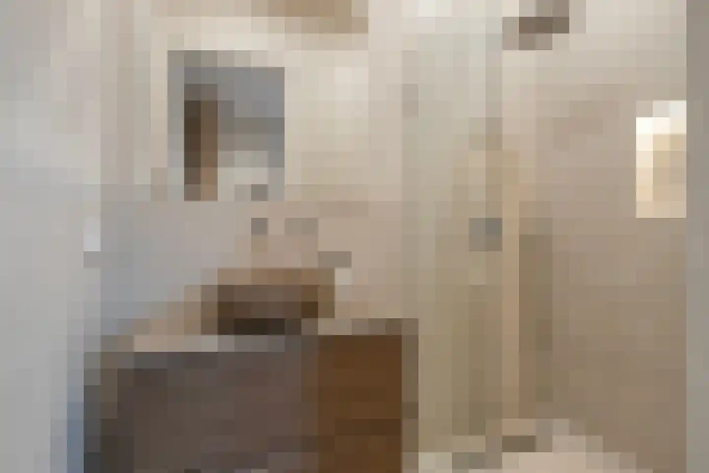 Stationsweg 37 Ouddorp thumbnail 18