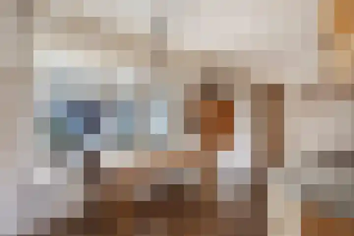 Stationsweg 37 Wezep thumbnail 15