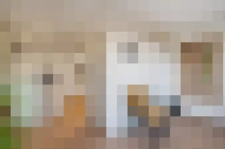 Stationsweg 37 Wezep thumbnail 20