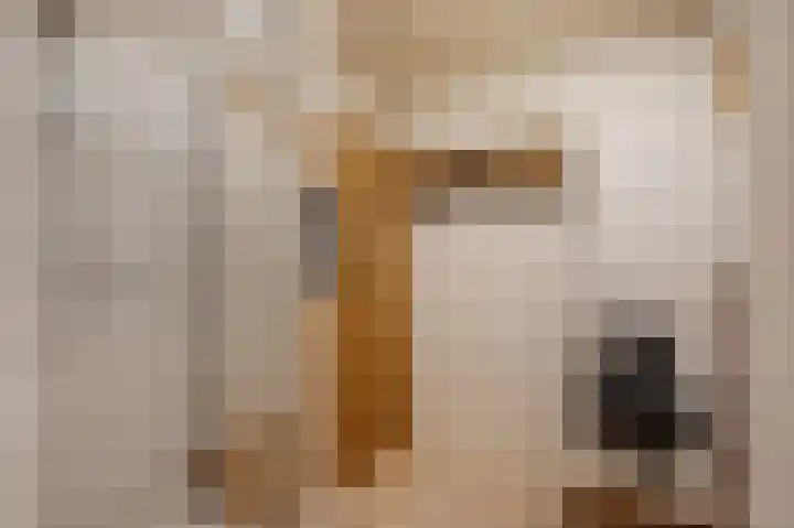 Stationsweg 37 Wezep thumbnail 28