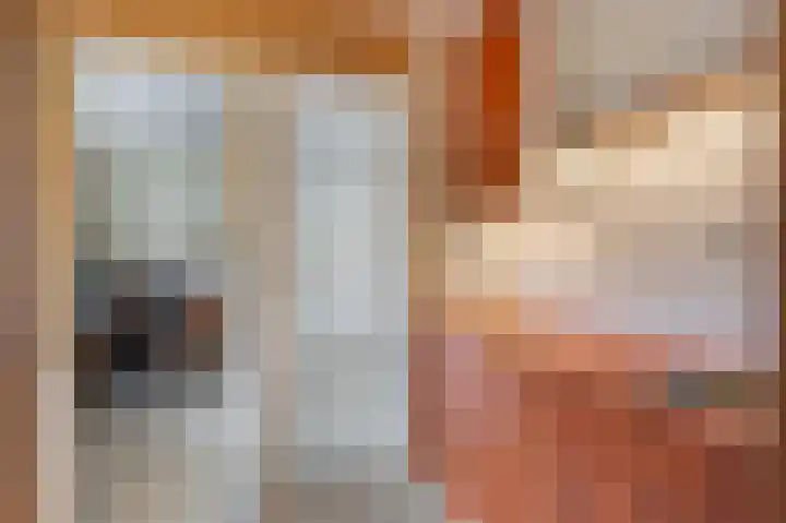 Stationsweg 37 Wezep thumbnail 29