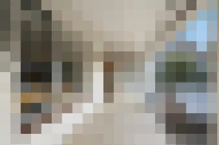 Stationsweg 37 Wezep thumbnail 35