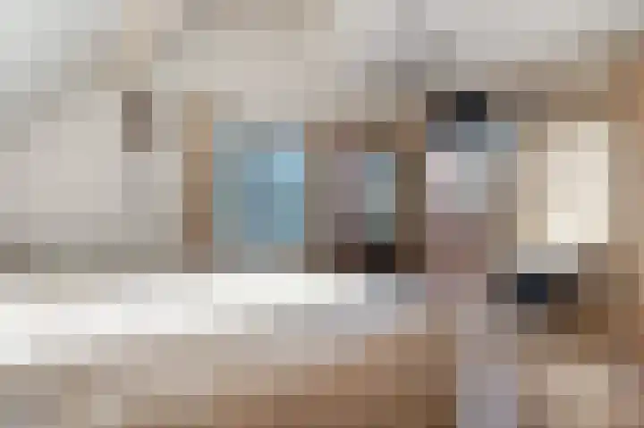 Stationsweg 37 Wezep thumbnail 65