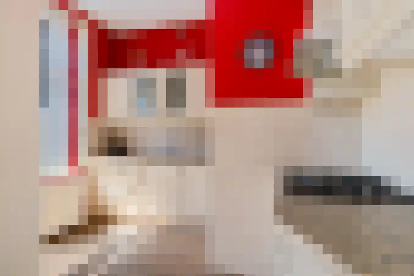Stationsweg 38 Dokkum thumbnail 10