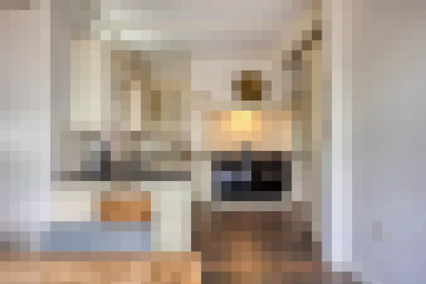 Stationsweg 385 Scherpenzeel thumbnail 25