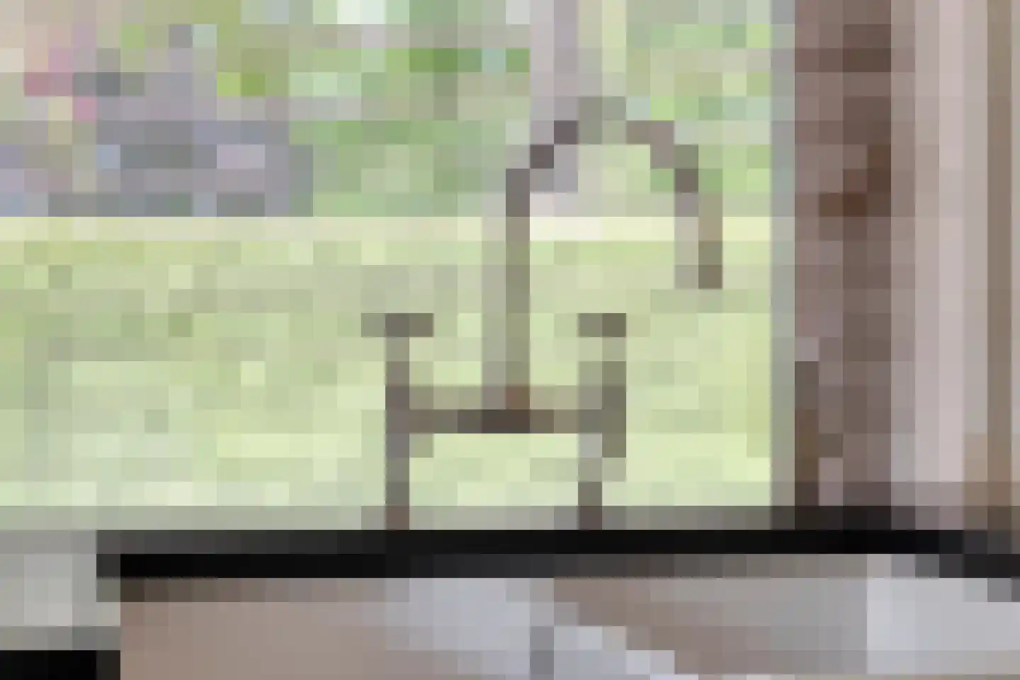 Stationsweg 385 Scherpenzeel thumbnail 33