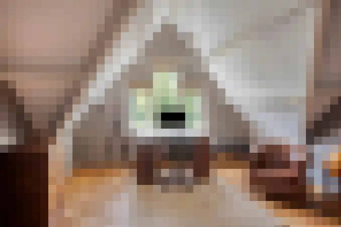 Stationsweg 385 Scherpenzeel thumbnail 36