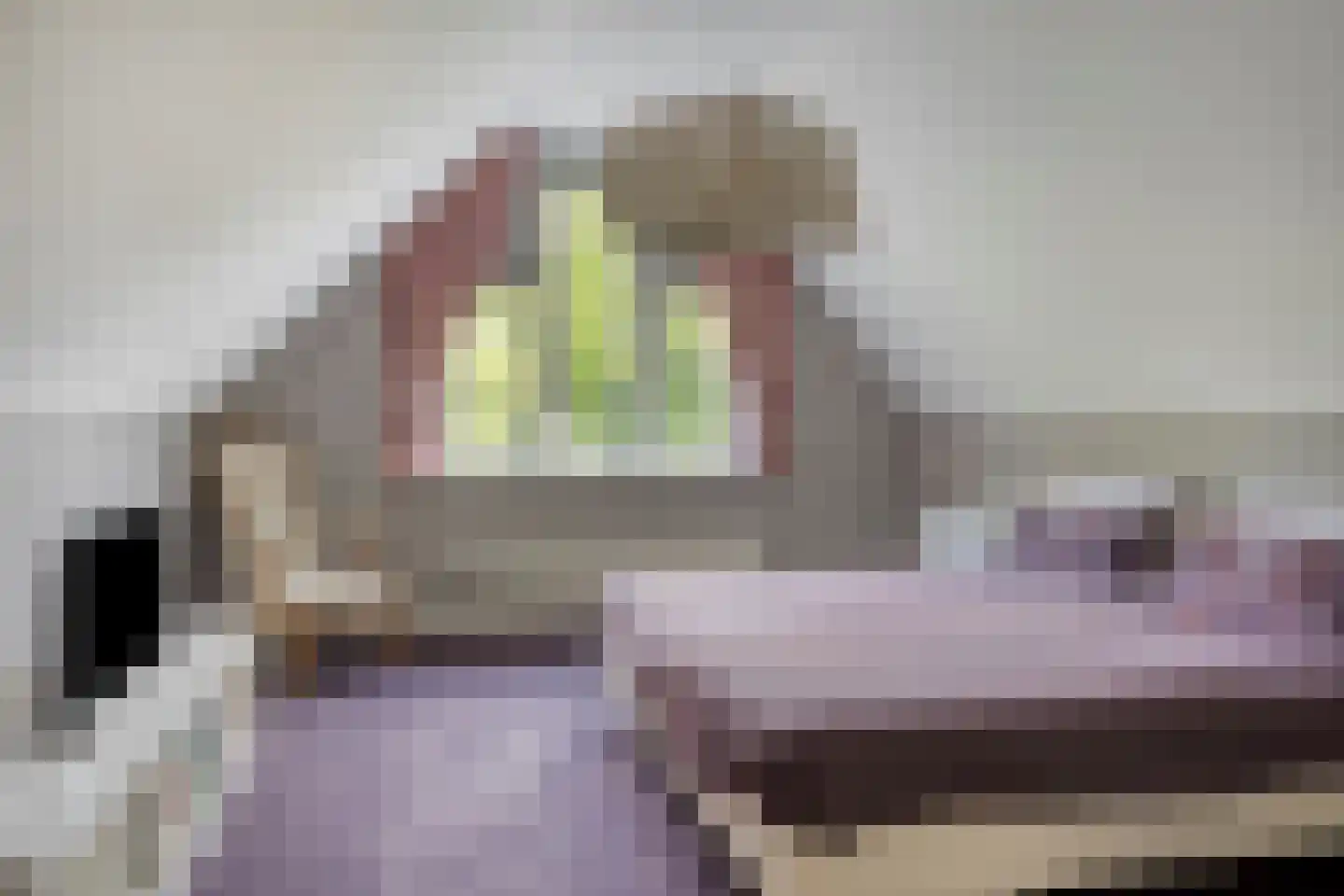 Stationsweg 385 Scherpenzeel thumbnail 38