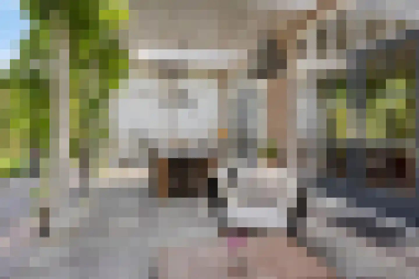Stationsweg 385 Scherpenzeel thumbnail 48