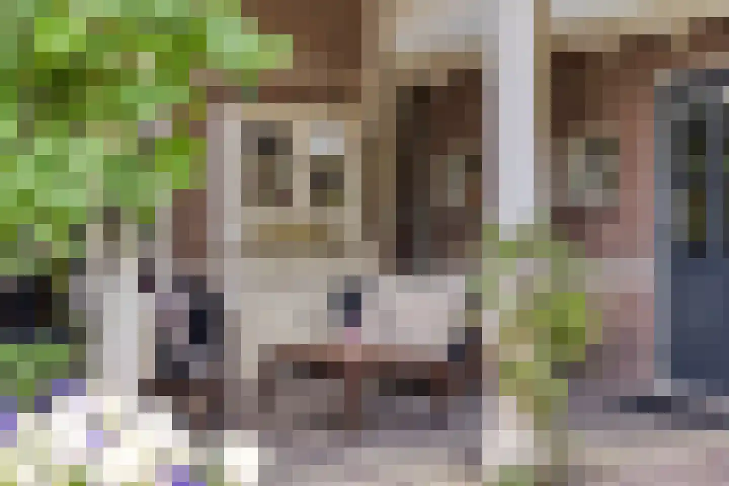 Stationsweg 385 Scherpenzeel thumbnail 49