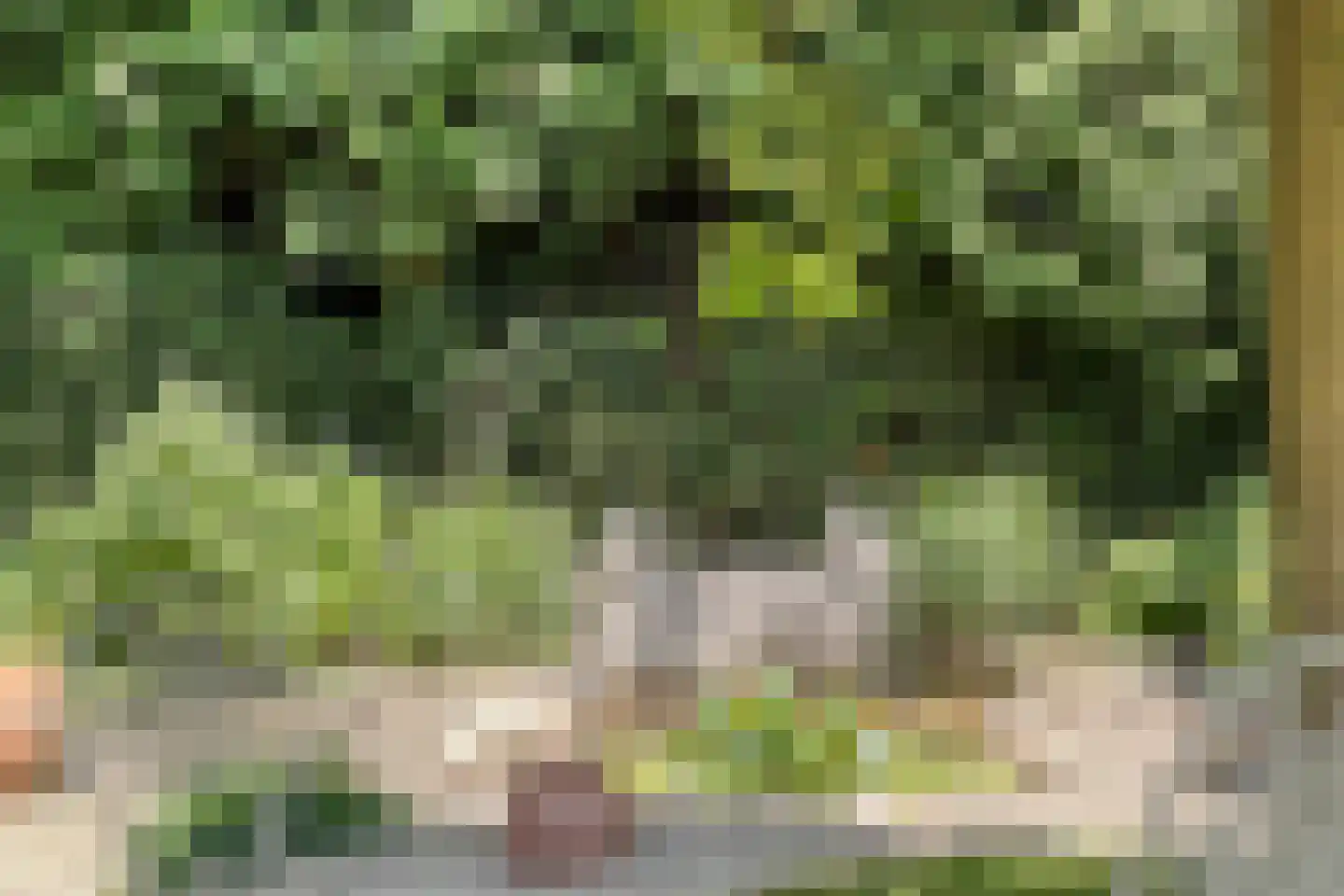 Stationsweg 385 Scherpenzeel thumbnail 53