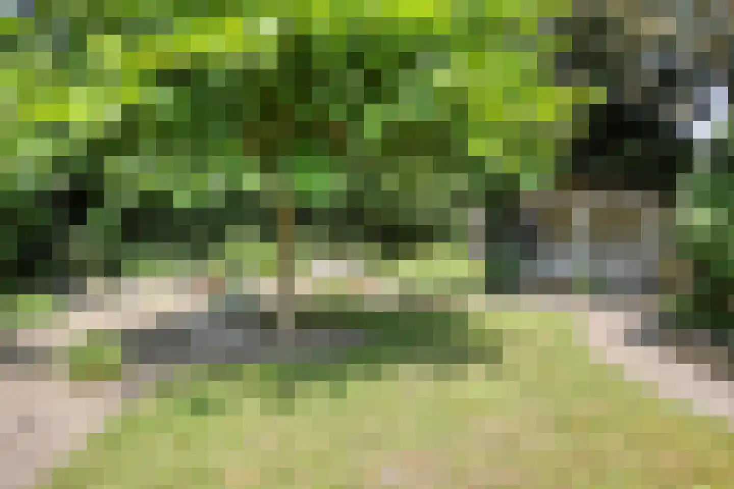 Stationsweg 385 Scherpenzeel thumbnail 54