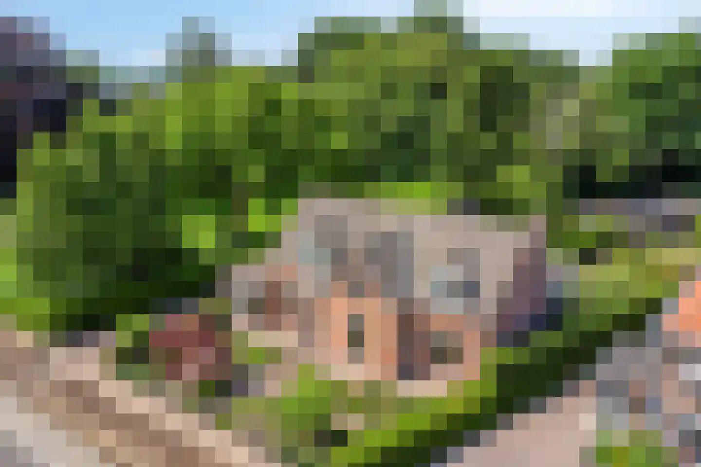 Stationsweg 385 Scherpenzeel thumbnail 61