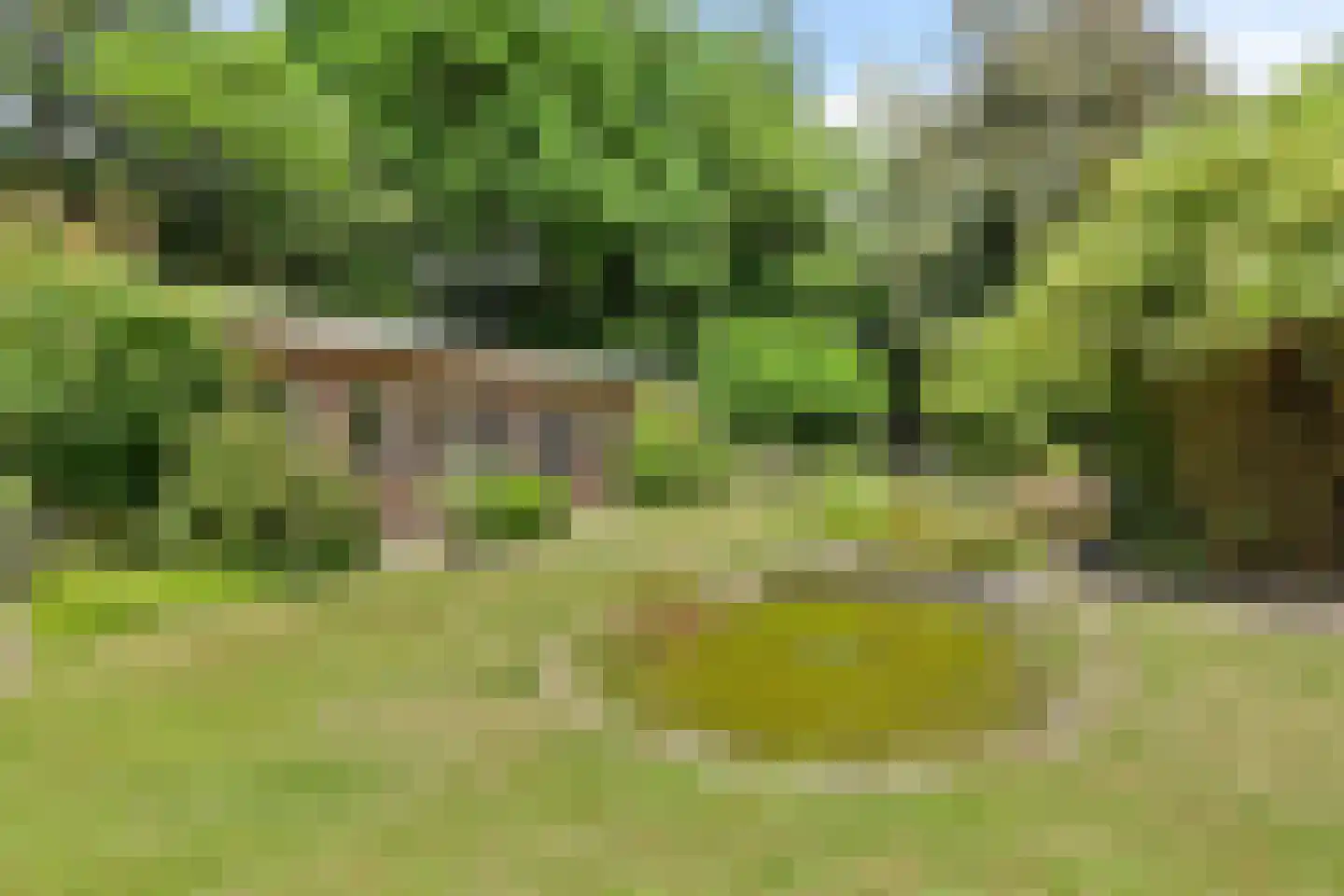 Stationsweg 385 Scherpenzeel thumbnail 63