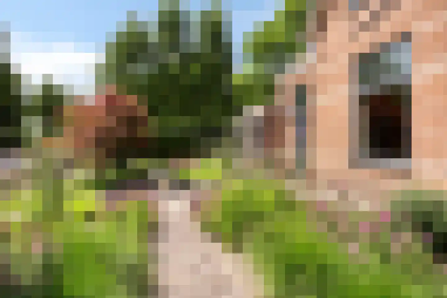 Stationsweg 385 Scherpenzeel thumbnail 66