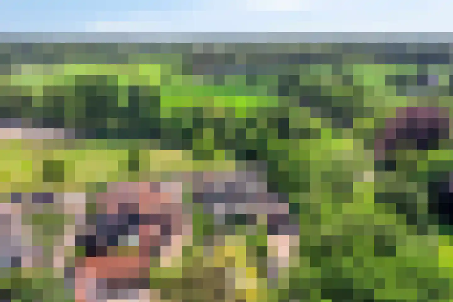 Stationsweg 385 Scherpenzeel thumbnail 68