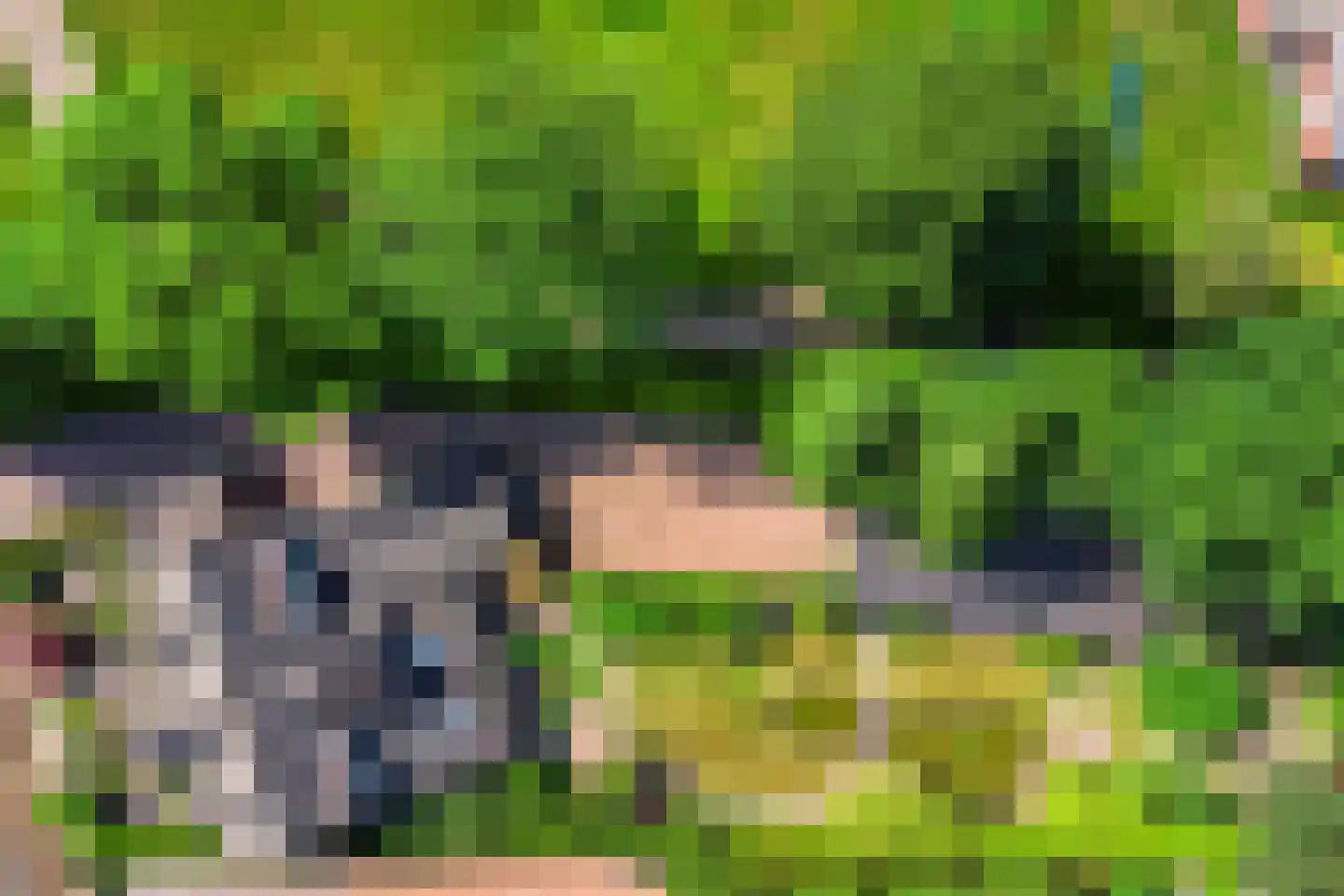 Stationsweg 385 Scherpenzeel thumbnail 69