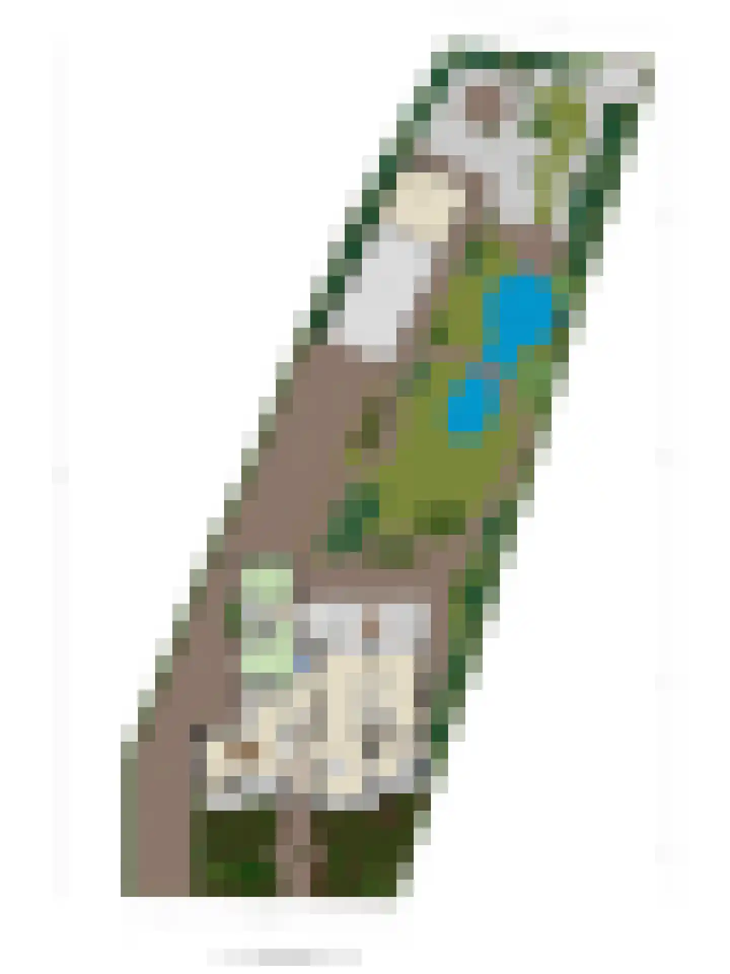 Stationsweg 385 Scherpenzeel thumbnail 75