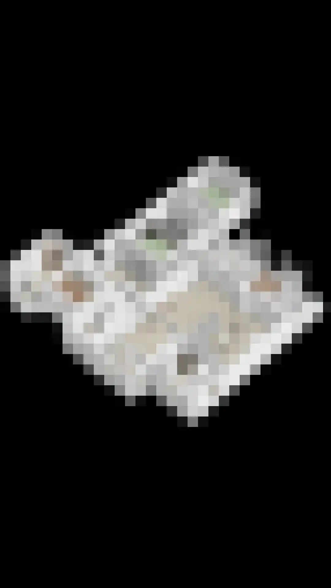 Stationsweg 385 Scherpenzeel thumbnail 78