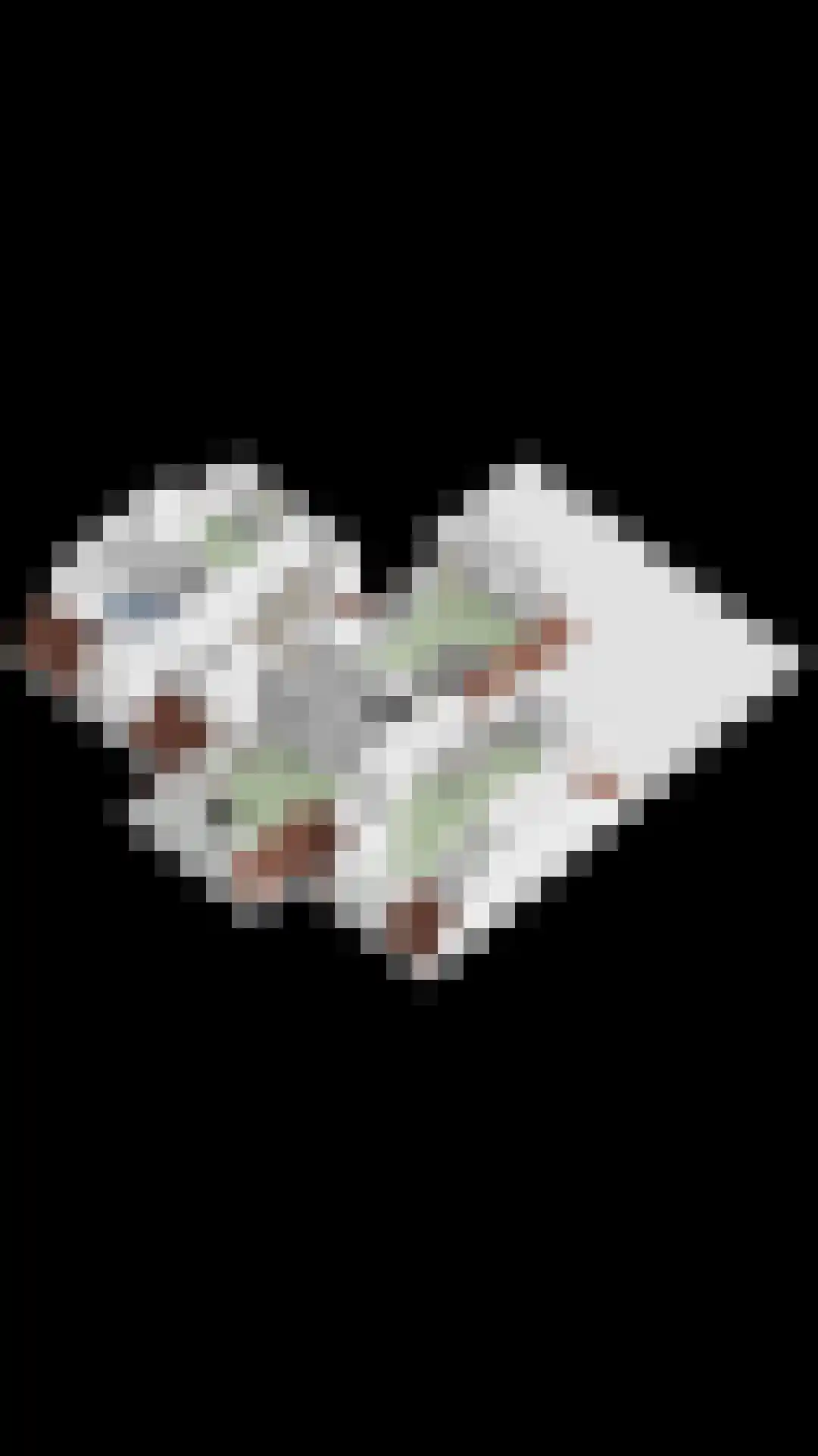 Stationsweg 385 Scherpenzeel thumbnail 79