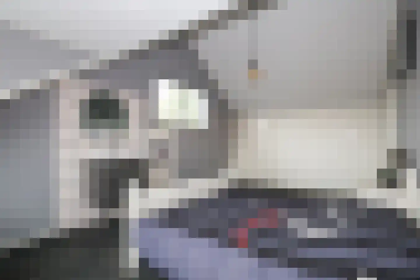 Stationsweg 39 Oostvoorne thumbnail 41