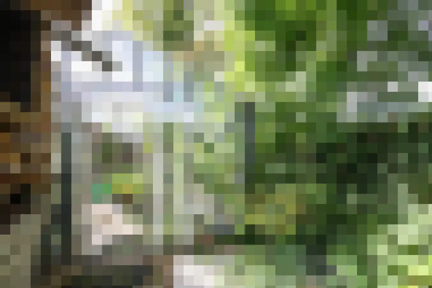 Stationsweg 39 Oostvoorne thumbnail 52