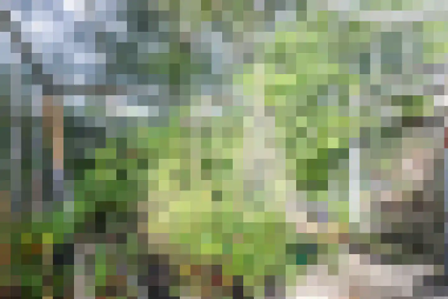 Stationsweg 39 Oostvoorne thumbnail 53