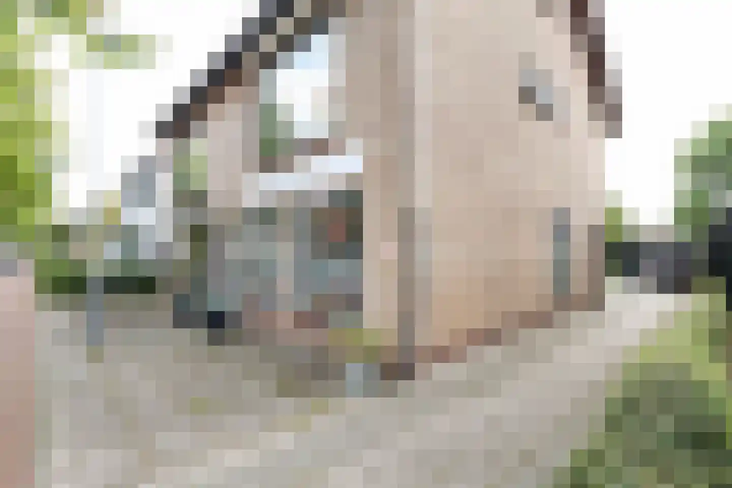 Stationsweg 39 Oostvoorne thumbnail 55