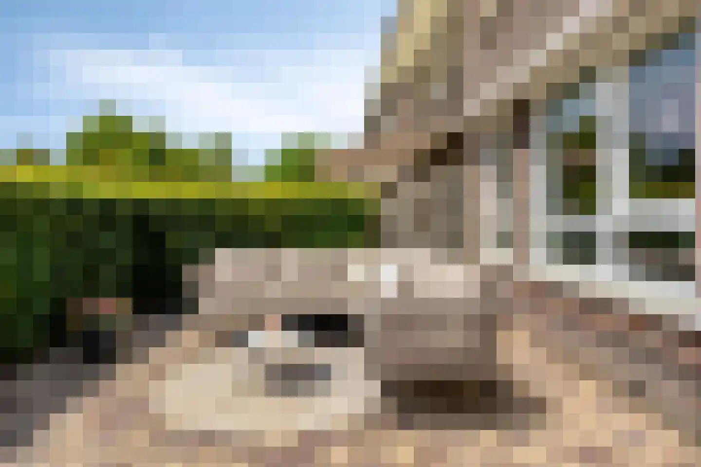 Stationsweg 4 2 De Klomp thumbnail 22
