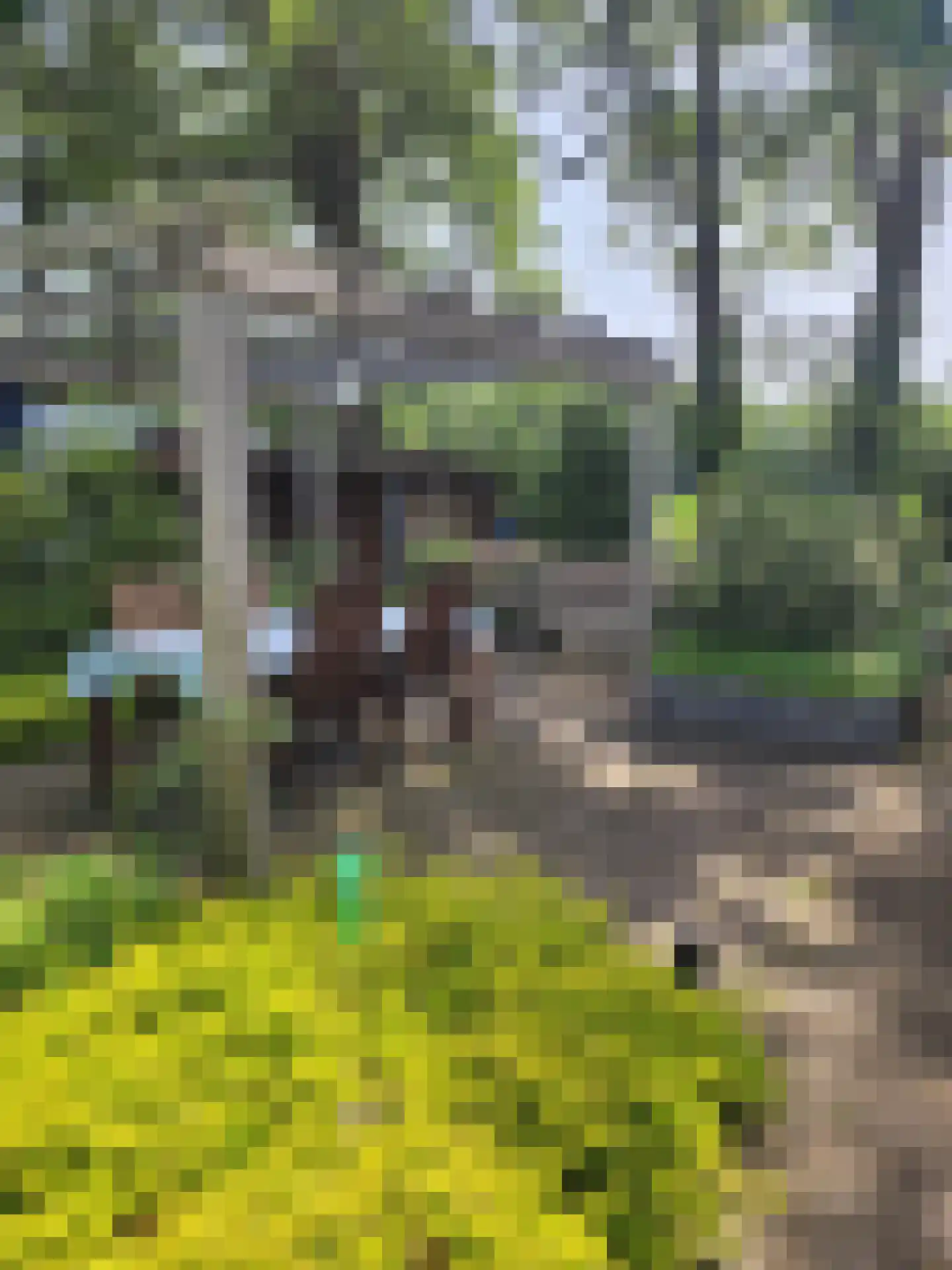 Stationsweg 4 23 Aalten thumbnail 11