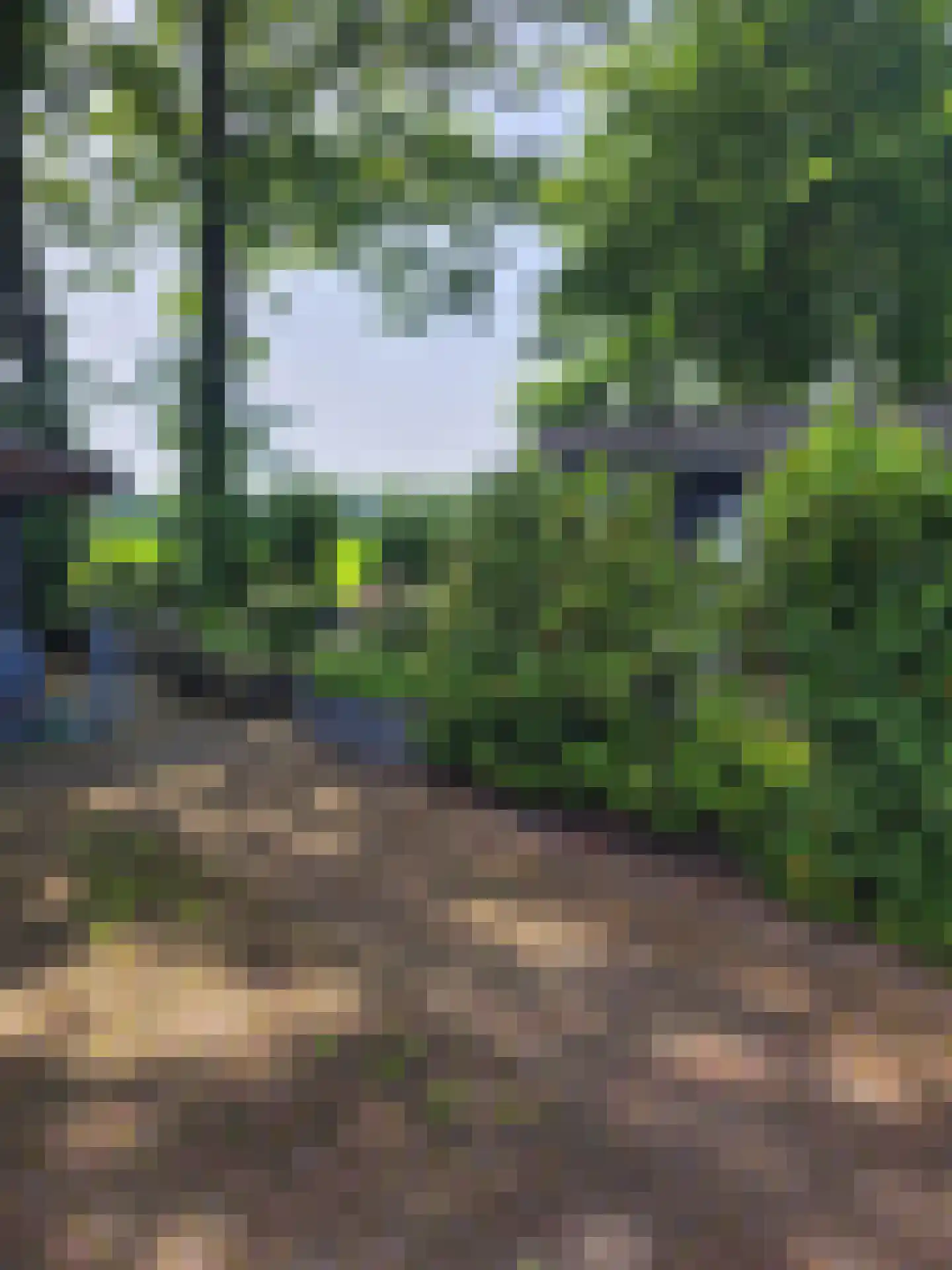 Stationsweg 4 23 Aalten thumbnail 16