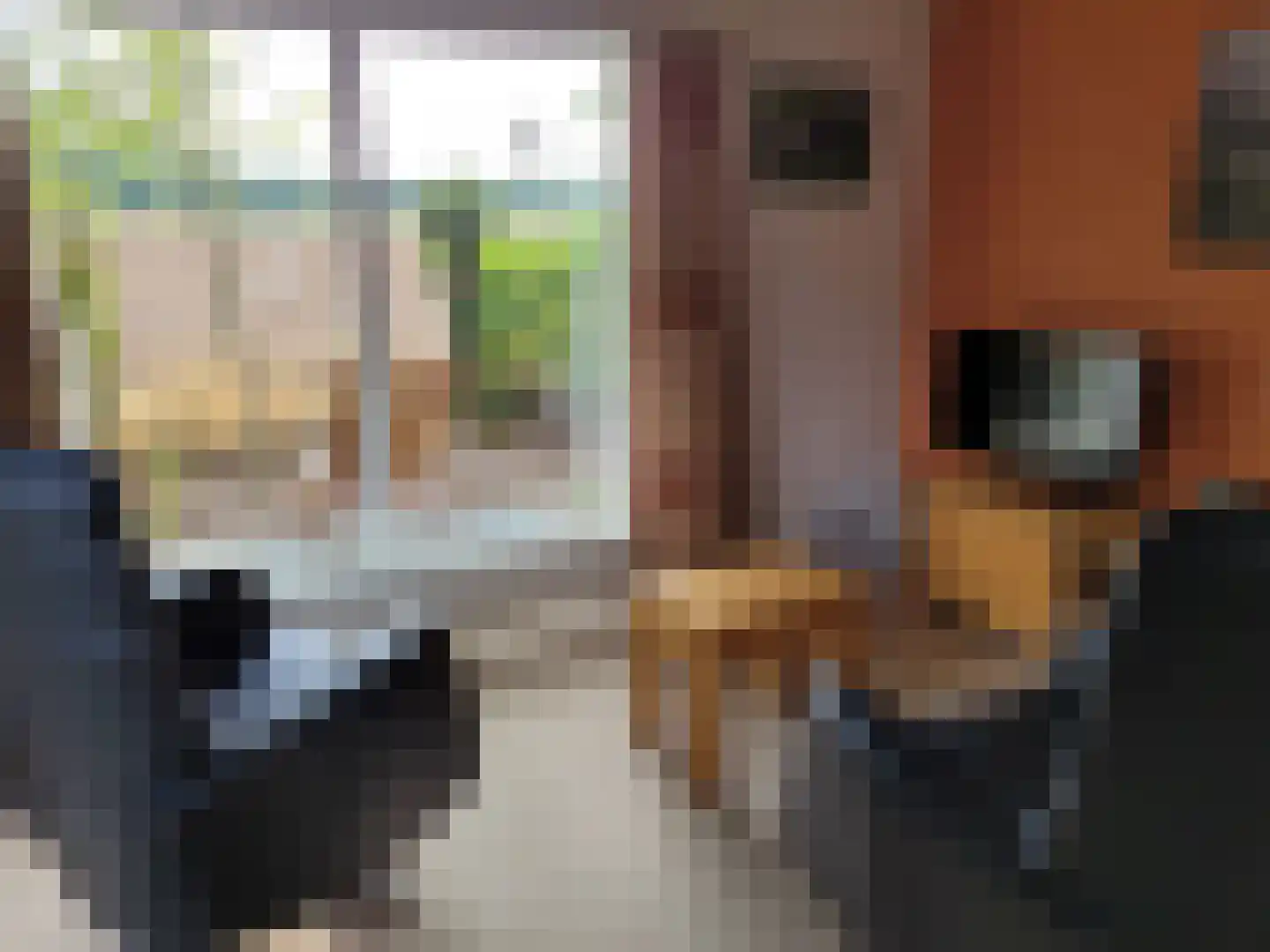 Stationsweg 4 23 Aalten thumbnail 5