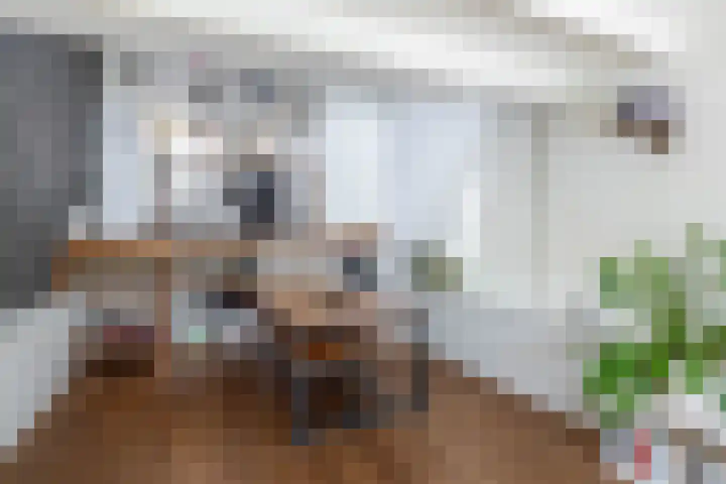 Stationsweg 4 Heenvliet thumbnail 15
