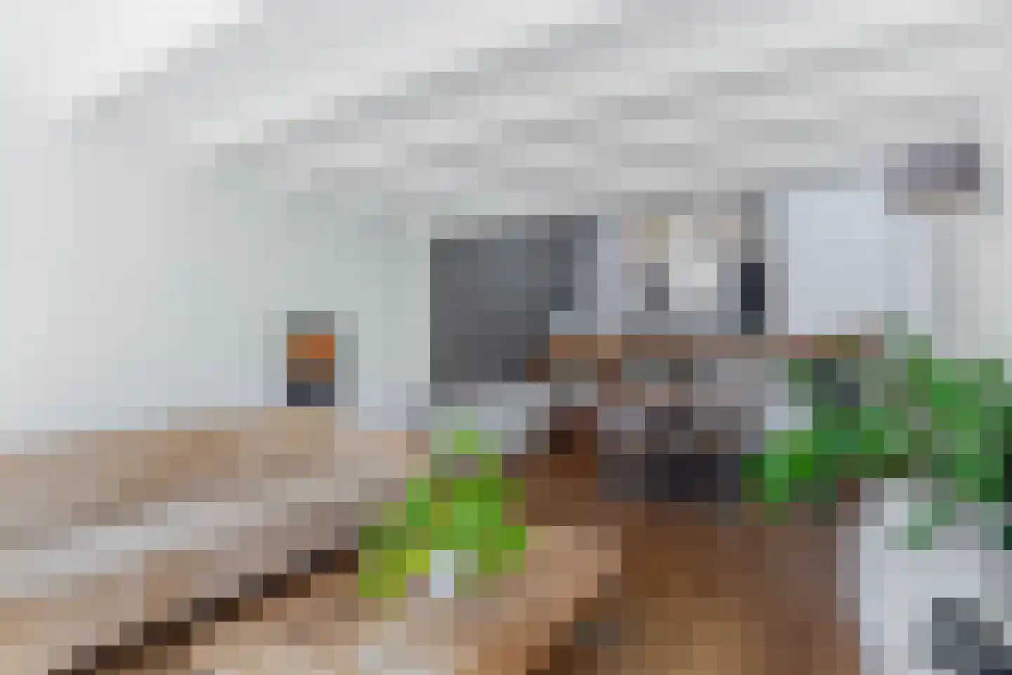 Stationsweg 4 Heenvliet thumbnail 17