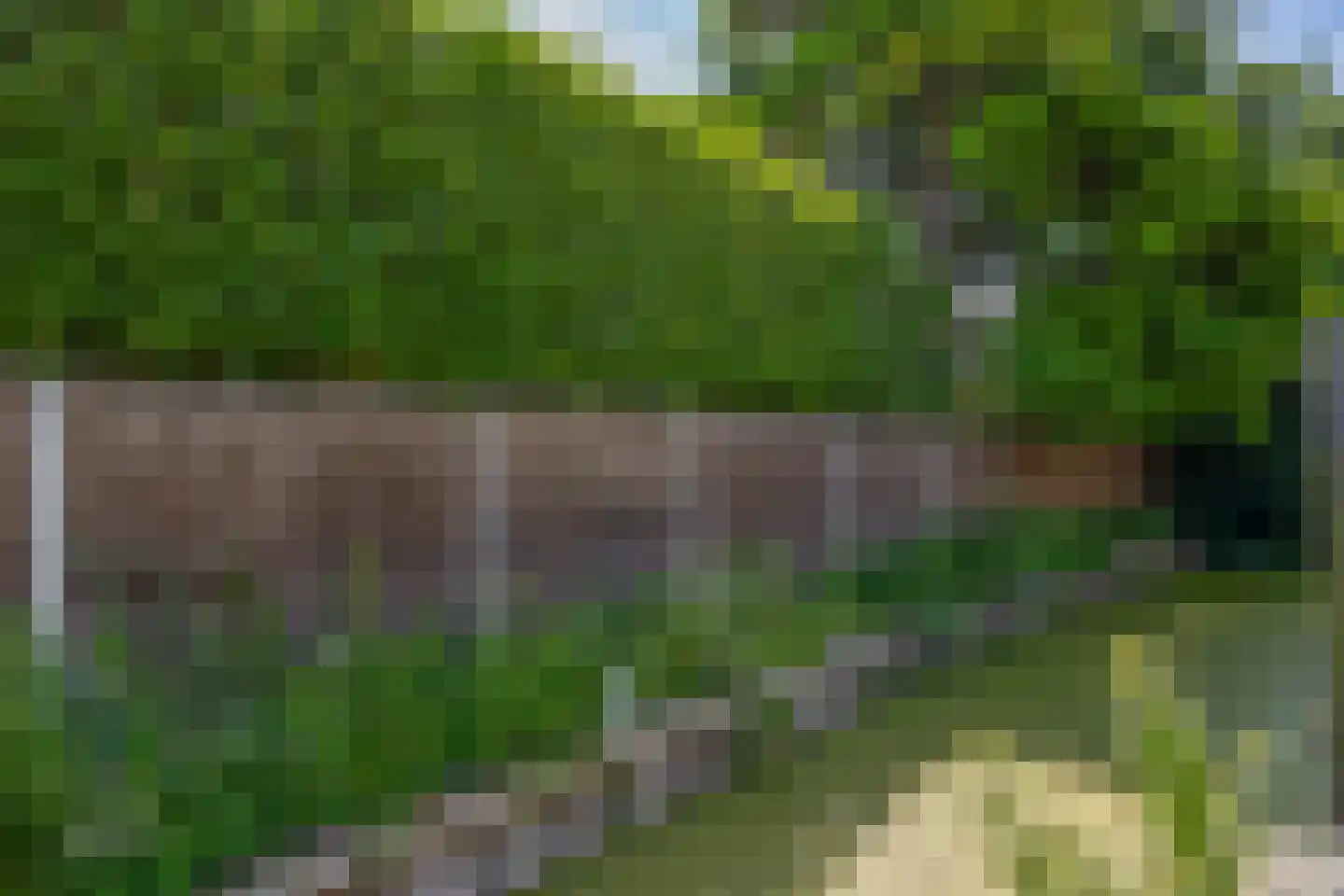 Stationsweg 4 Heenvliet thumbnail 21