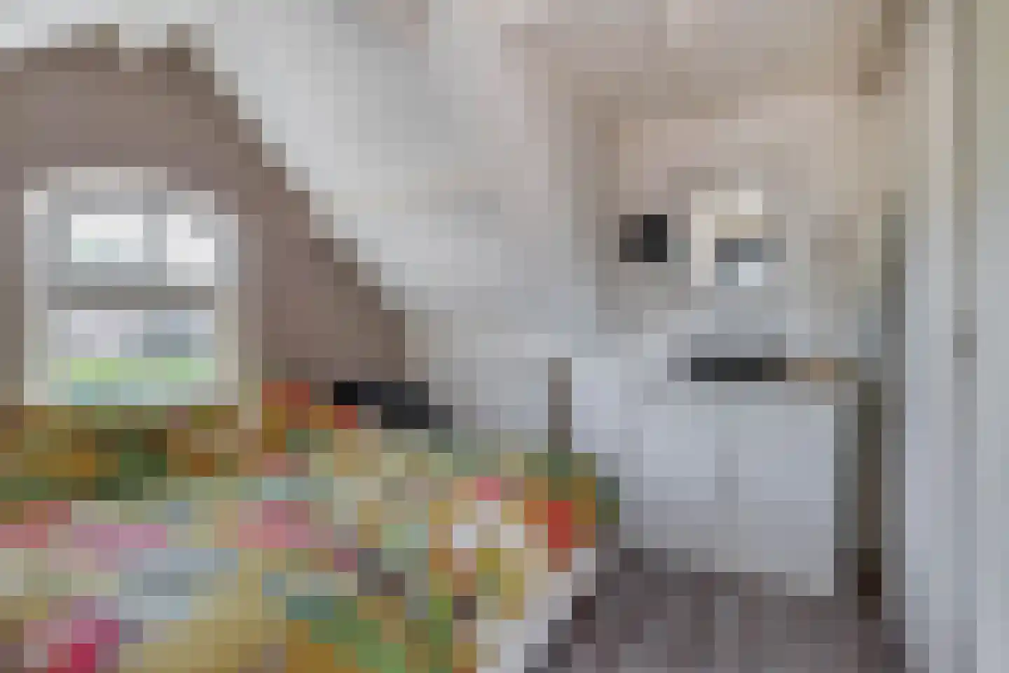 Stationsweg 4 Heenvliet thumbnail 23