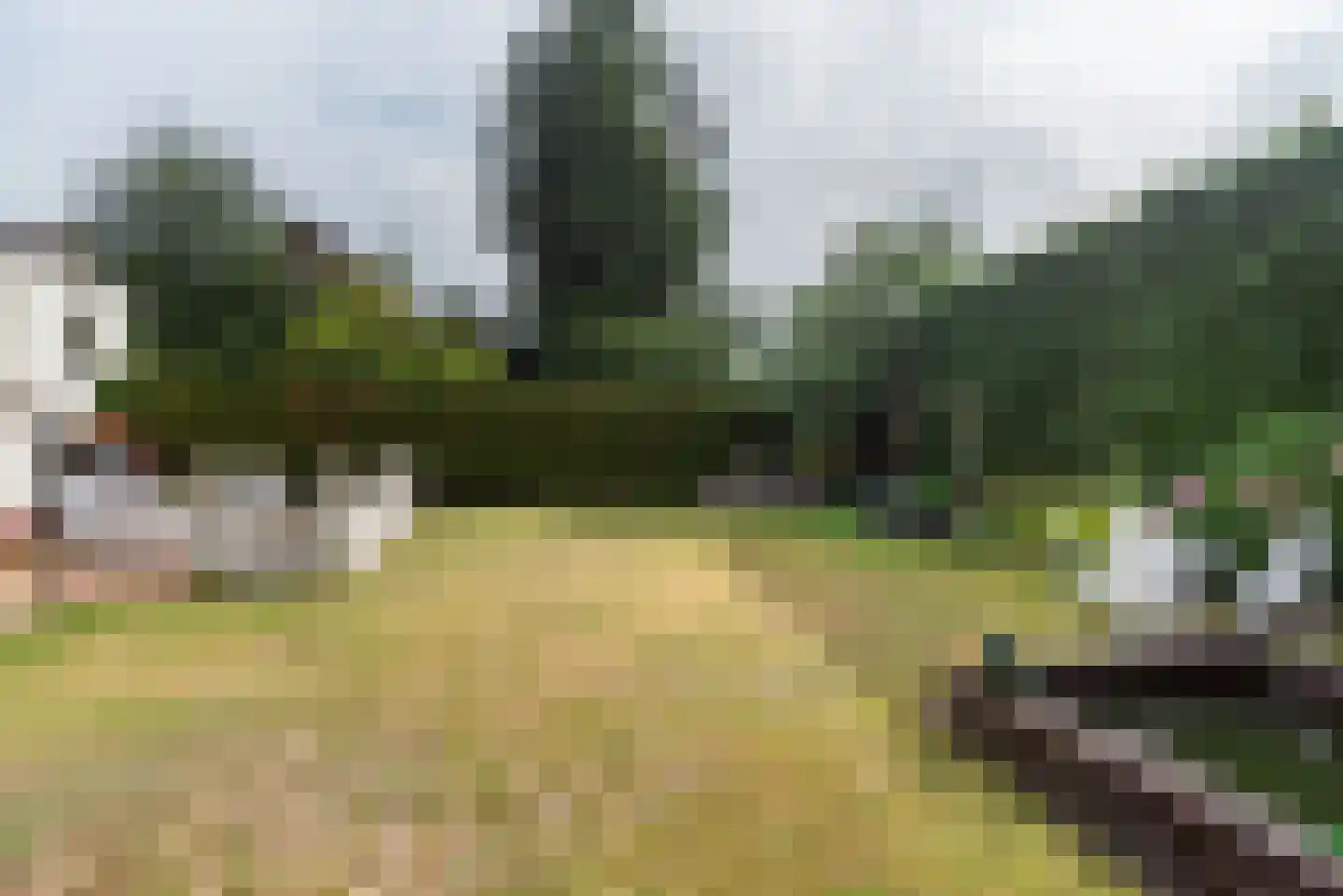 Stationsweg 4 Terborg thumbnail 62