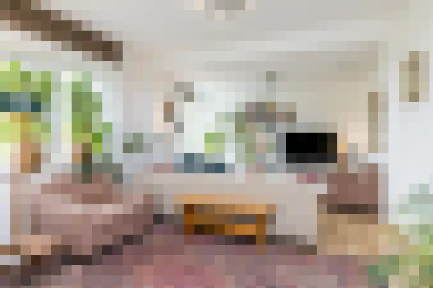 Stationsweg 4 Valkenburg thumbnail 17