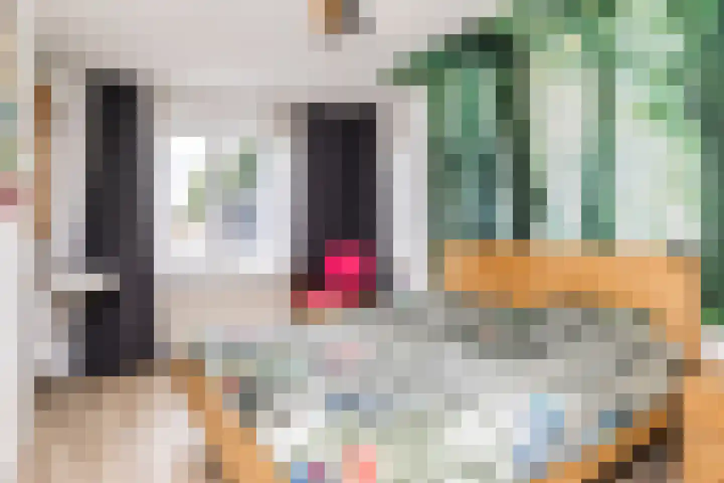 Stationsweg 4 Valkenburg thumbnail 24