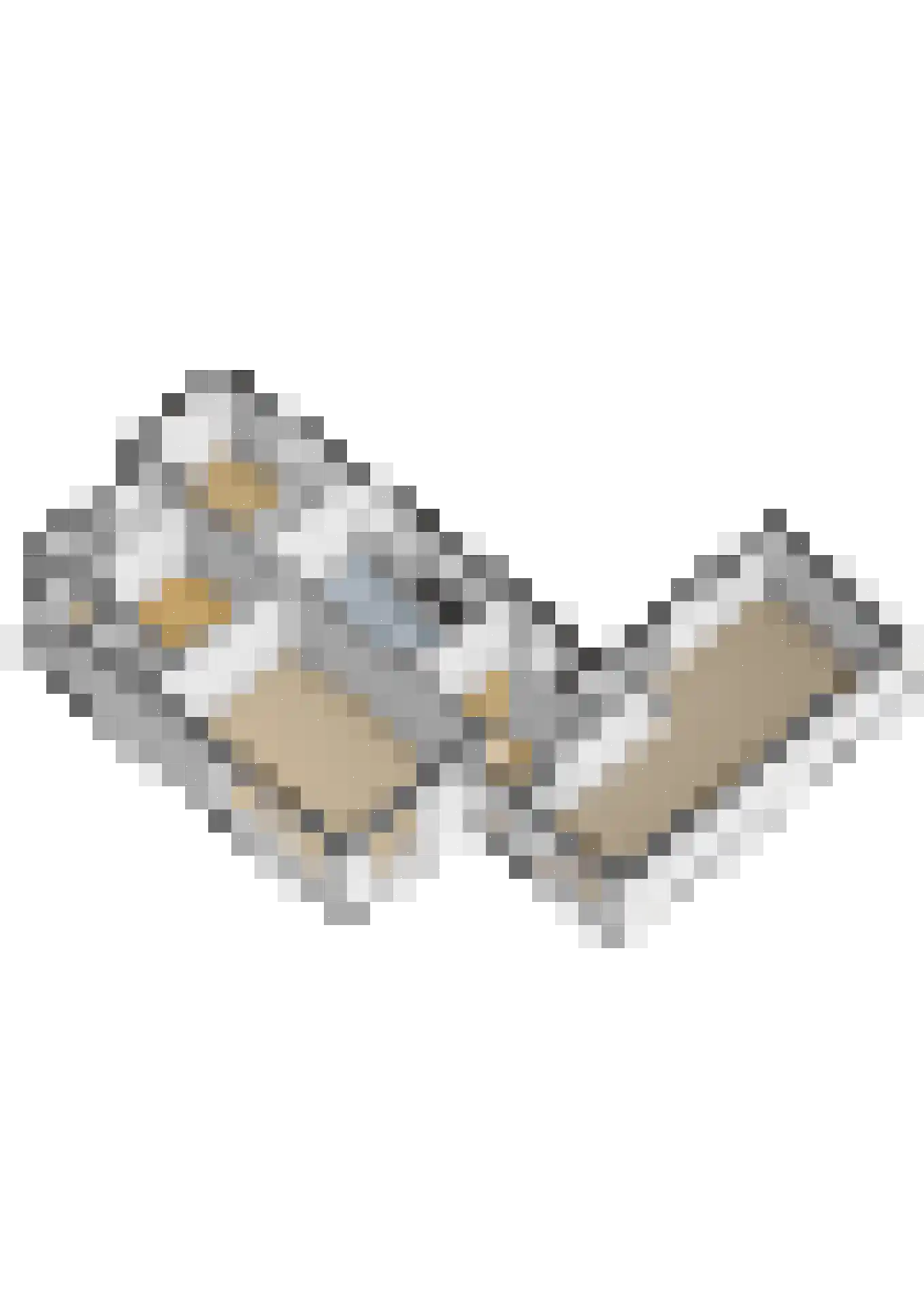 Stationsweg 4 Vorden thumbnail 49