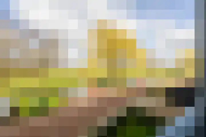 Stationsweg 40 Kwadijk thumbnail 17