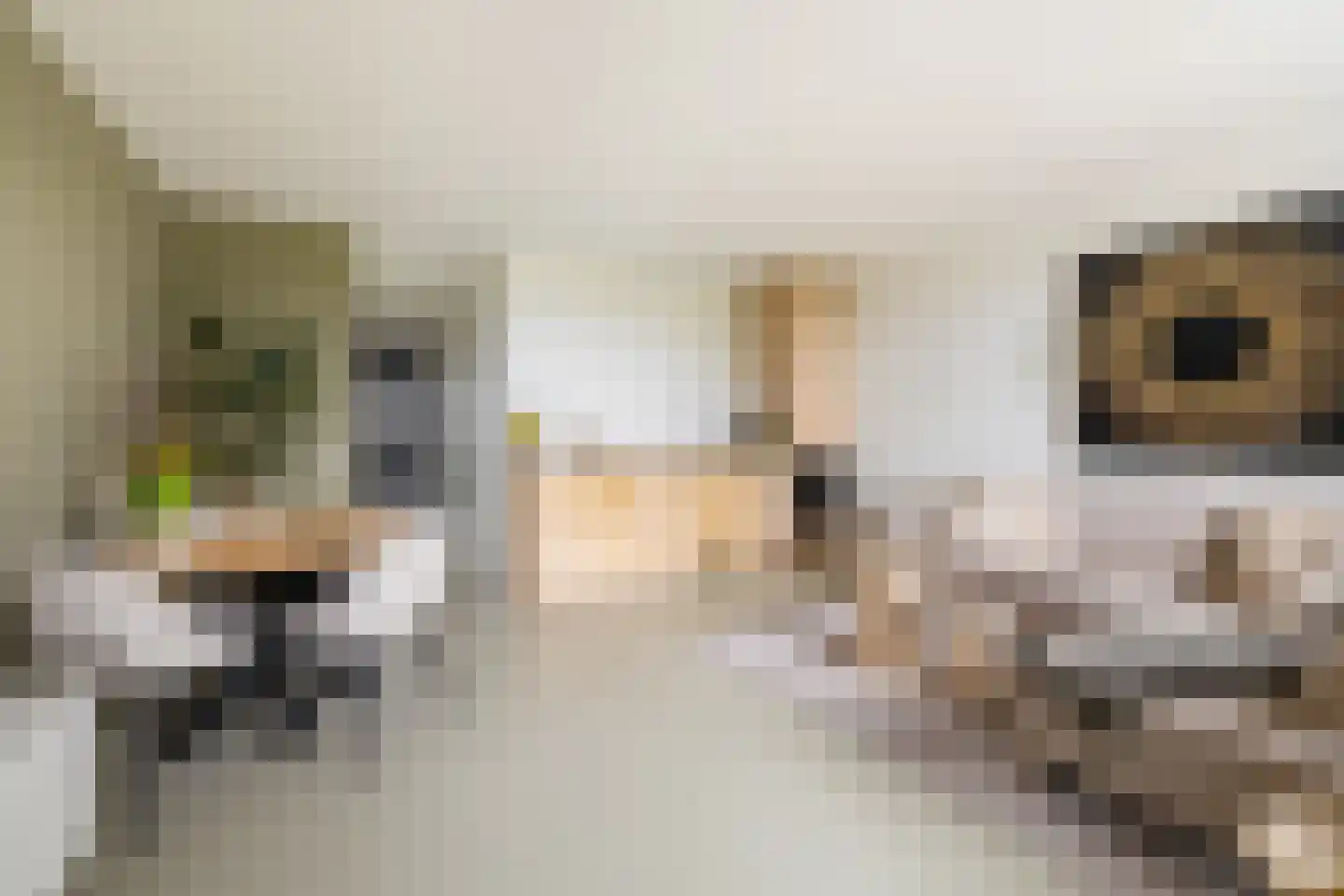 Stationsweg 40 Kwadijk thumbnail 18