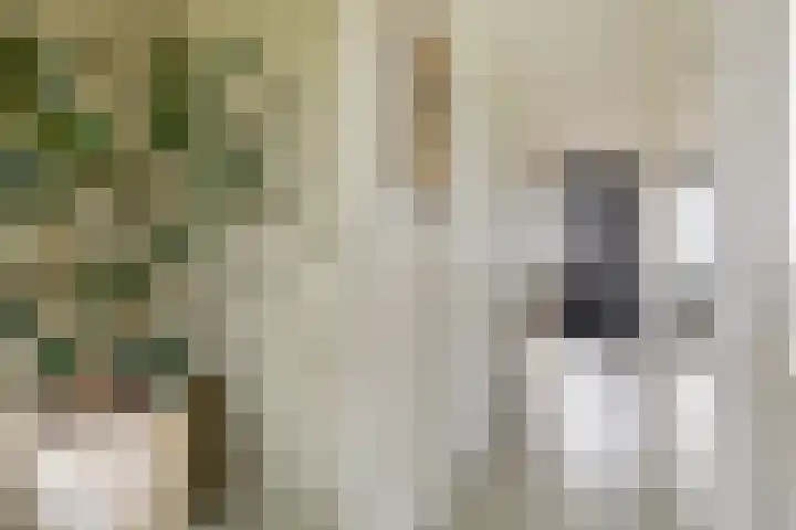 Stationsweg 40 Kwadijk thumbnail 21
