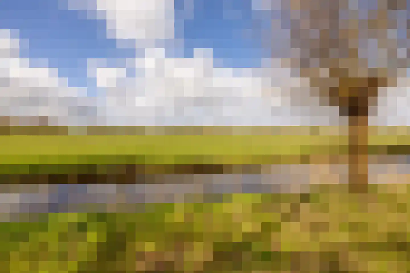 Stationsweg 40 Kwadijk thumbnail 4